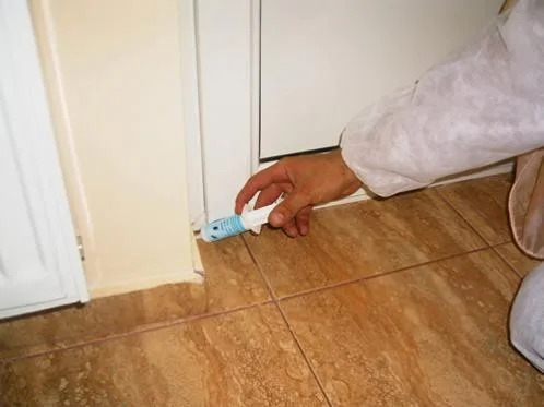 Deratizare - dezinsectie - dezinfectie - Bucuresti