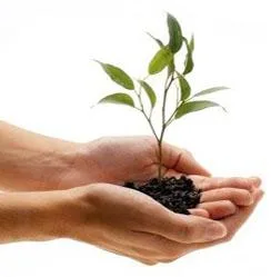 Deratizare - dezinsectie - dezinfectie - Bucuresti