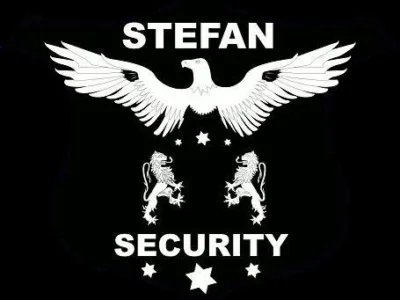 Servicii securitate Iasi