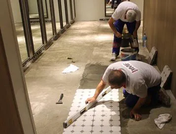 Timisoara - Constructii - intretinere si reparatii cladiri