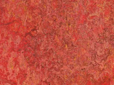 Vanzare si montaj pardoseli PVC - linoleum - mochete - Otopeni