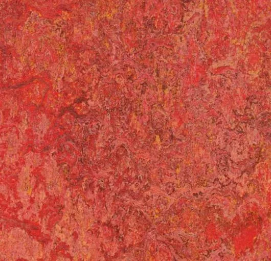 Vanzare si montaj pardoseli PVC - linoleum - mochete - Otopeni