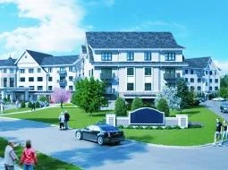 Construire case de lemn - Arad