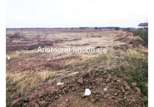 Corbeanca - Agentie imobiliara