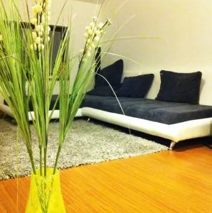 Constructii civile - industriale si amenajari - Bragadiru / Ilfov