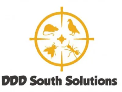 Dezinsectie - deratizare Videle