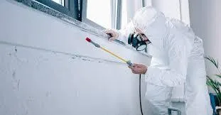 Dezinsectie - deratizare Videle