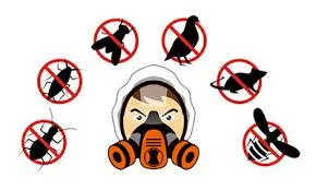 Dezinsectie - deratizare Videle