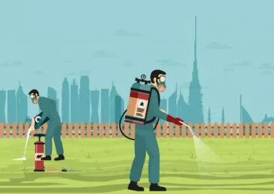 Dezinsectie - deratizare Videle