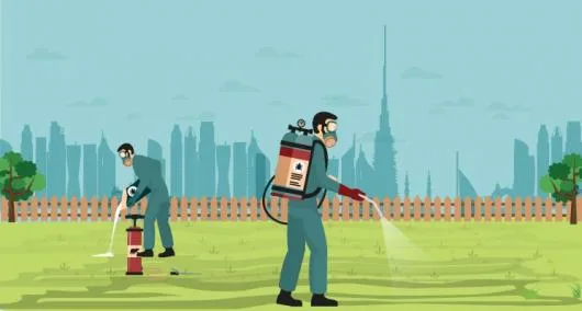 Dezinsectie - deratizare Videle