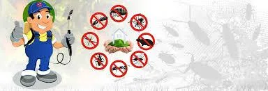 Dezinsectie - deratizare Videle