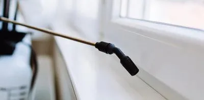 Dezinsectie - deratizare Videle