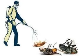 Dezinsectie - deratizare Videle