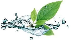 Dezinsectie - deratizare Videle