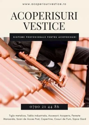 Sisteme Profesionale pentru Acoperisuri Arad