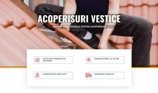 Sisteme Profesionale pentru Acoperisuri Arad