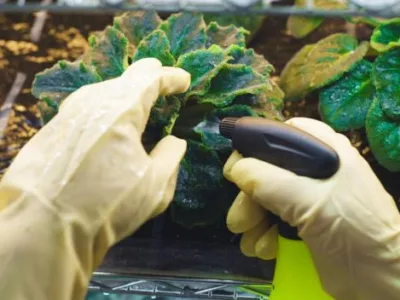 Terra Hygieniq -Servicii DDD Suceava