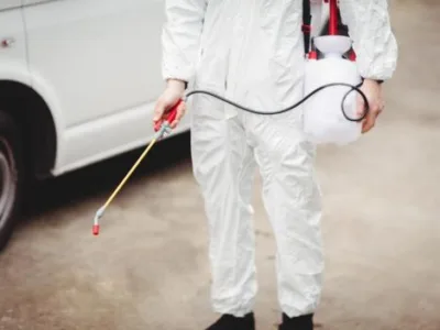 Terra Hygieniq -Servicii DDD Suceava