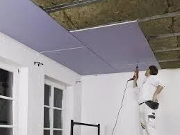 Constructii case si amenajari