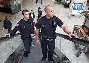 Oltean profi security