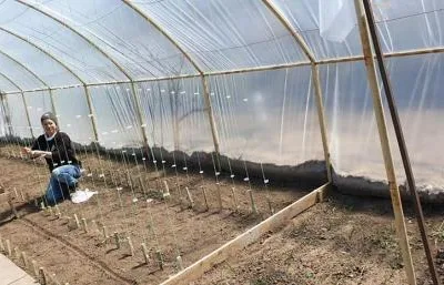 Firma de constructii Tulcea si Delta Dunarii