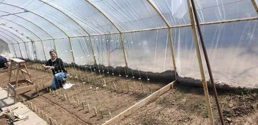 Firma de constructii Tulcea si Delta Dunarii