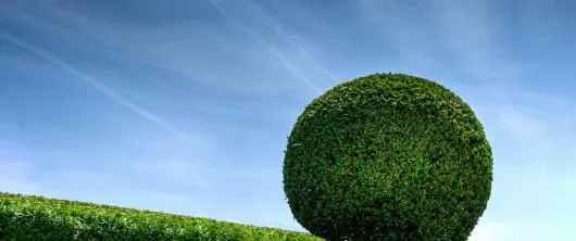 Proiectare si executie spatii verzi - Bucuresti