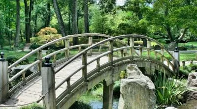 Proiectare si executie spatii verzi - Bucuresti