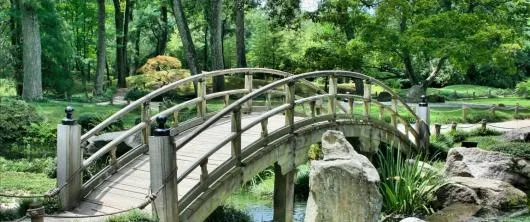 Proiectare si executie spatii verzi - Bucuresti