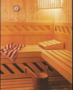 Saune finlandeze