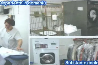 Spalatorie si curatatorie chimica ecologica Cluj Napoca