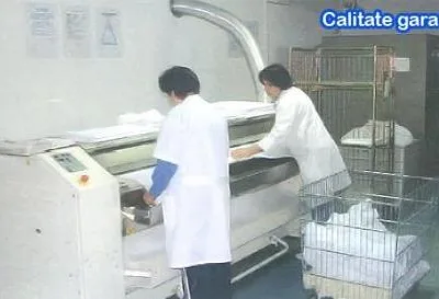 Spalatorie si curatatorie chimica ecologica Cluj Napoca