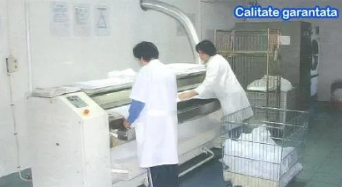 Spalatorie si curatatorie chimica ecologica Cluj Napoca