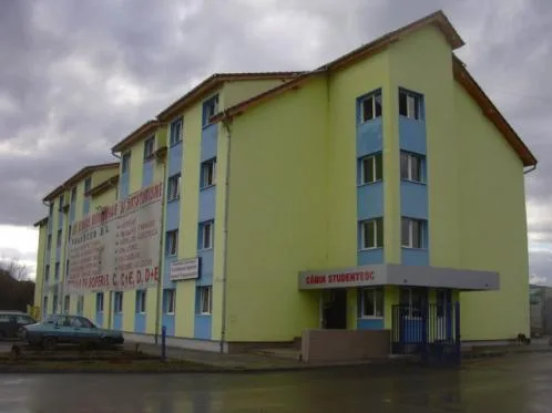 Constructii civile si industriale - Sibiu