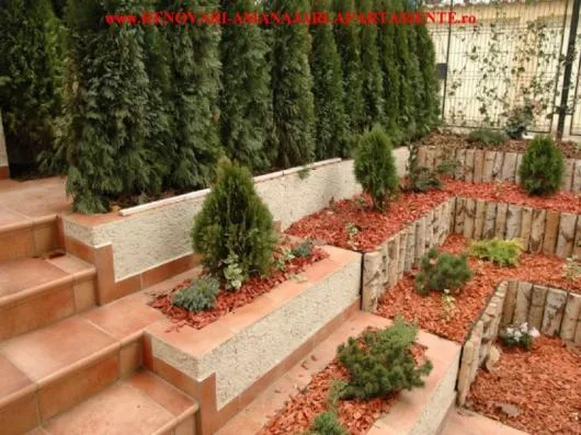 Bucuresti - Case si apartamente