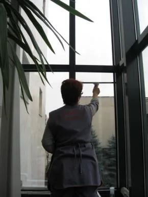 Servicii curatenie judetele Prahova si Buzau