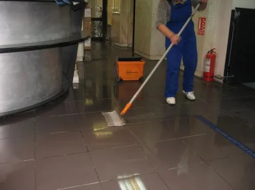 Servicii curatenie judetele Prahova si Buzau