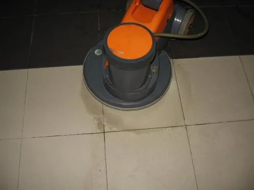 Servicii curatenie judetele Prahova si Buzau