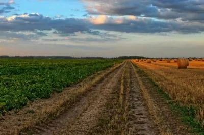 Cadastru - Proiectare - Expertiza tehnica MLPAT Bucuresti - Ilfov