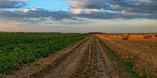 Cadastru - Proiectare - Expertiza tehnica MLPAT Bucuresti - Ilfov