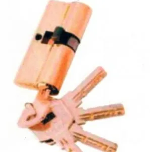 Lucrari din fier forjat Ilfov