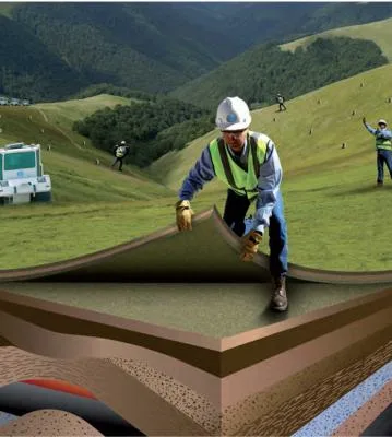 Servicii de prospectiuni geologice si geofizice - Bucuresti