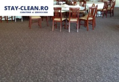 Servicii DDD - curatenie Constanta