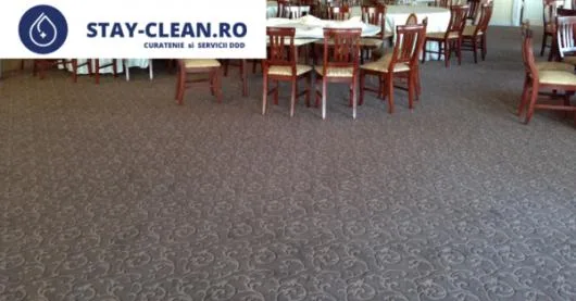 Servicii DDD - curatenie Constanta