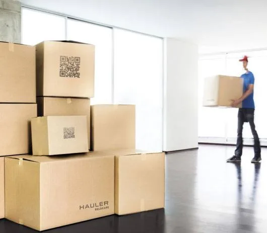 Firma de mutari interne si internationale - Bucuresti