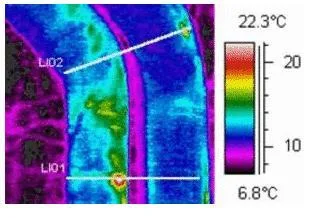 Intreprindere Individuala Auditor energetic Suceava