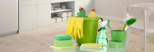 Servicii curatenie Alba Iulia