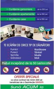 Servicii curatenie Alba Iulia