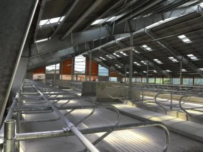 Constructii hale metalice - Brasov