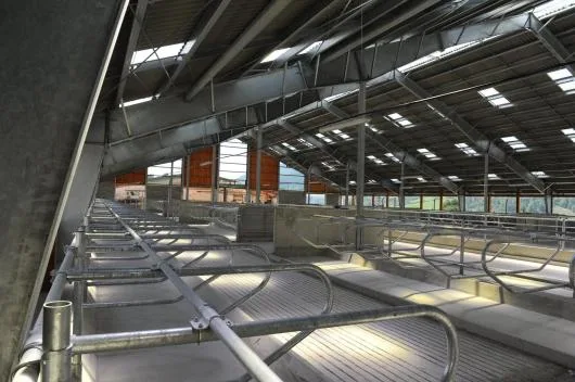 Constructii hale metalice - Brasov